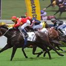 Tianhuang travels for Durban Demon